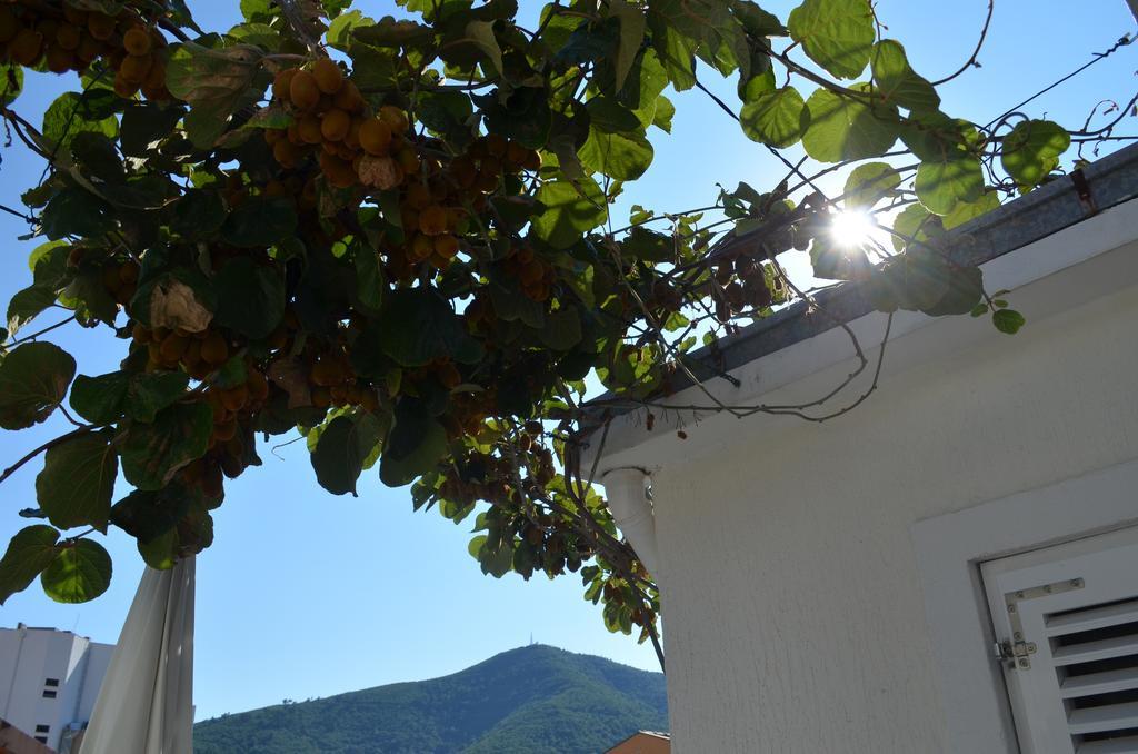 Casablanca Apartments Budva Luaran gambar